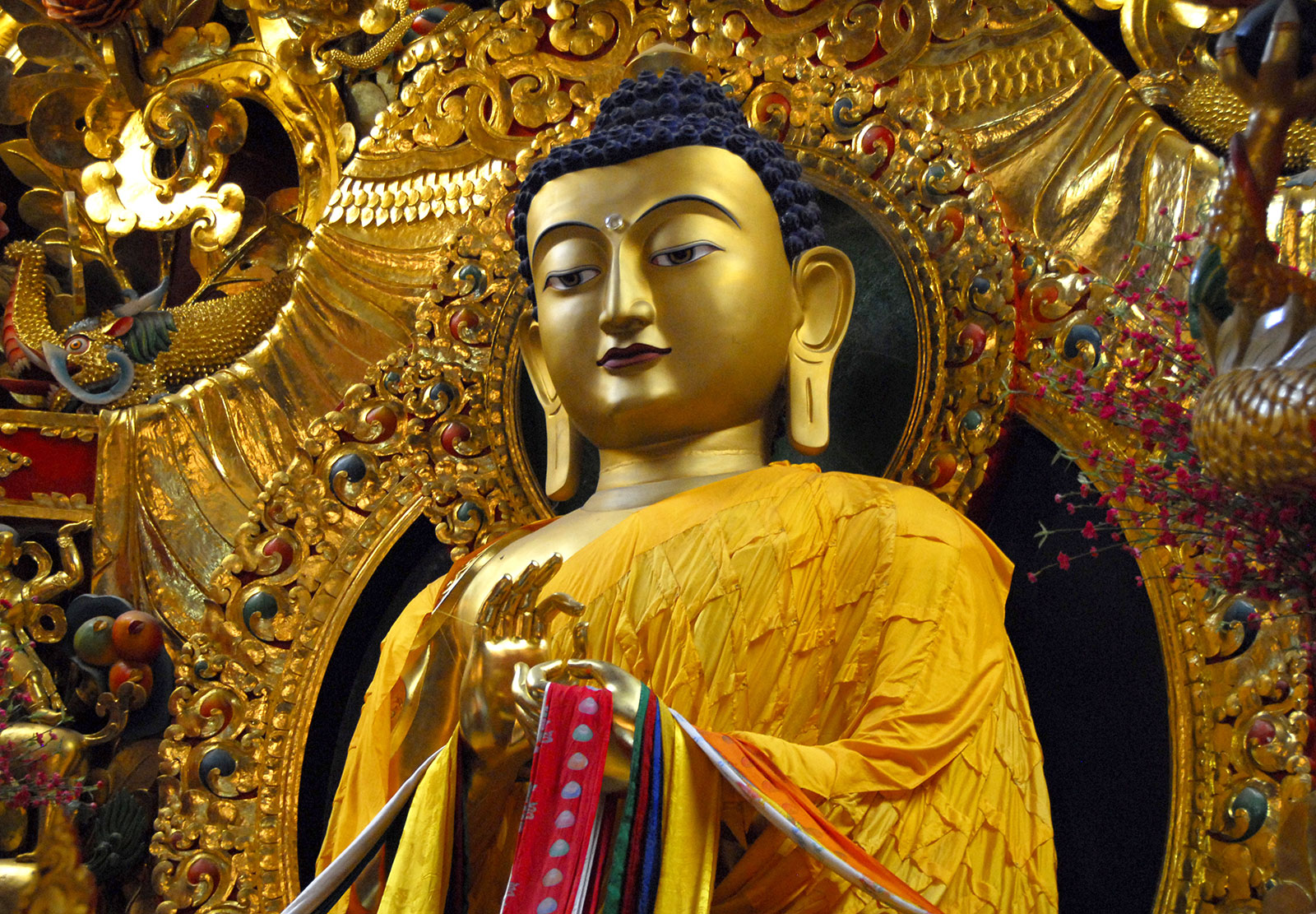 buddhas gautama buddhism bodhisattvas arahants buddhismus bhikkhu sarnath buddhastatue classify bodhi oconnor